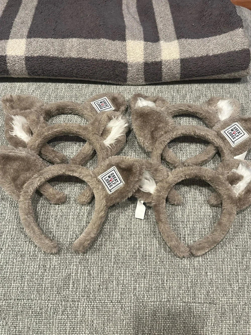 Great Wolf Lodge ears